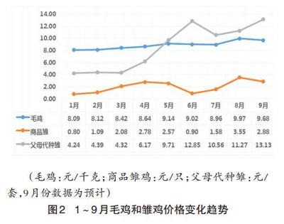 2014年前三季度白羽肉雞產(chǎn)業(yè)發(fā)展與未來走勢(shì)分析
